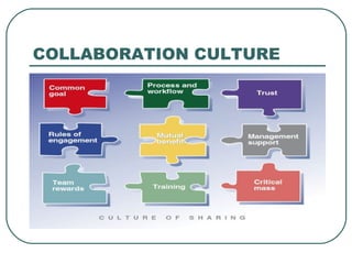 COLLABORATION CULTURE 