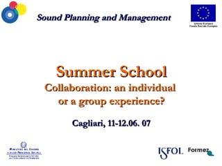 Sound Planning and Management Summer School Collaboration: an individual  or a group experience? Cagliari, 11-12.06. 07 