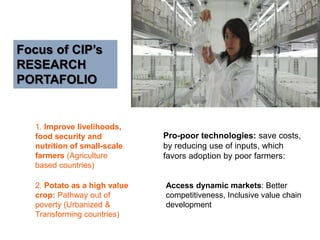 Pro-poor technologies: save costs, 
by reducing use of inputs, which 
favors adoption by poor farmers: 
1. Improve livelihoods, 
food security and 
nutrition of small-scale 
farmers (Agriculture 
based countries) 
2. Potato as a high value 
crop: Pathway out of 
poverty (Urbanized & 
Transforming countries) 
Access dynamic markets: Better 
competitiveness, Inclusive value chain 
development 
Focus of CIP’s 
RESEARCH 
PORTAFOLIO 
 