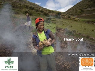 Thank you! 
a.devaux@cgiar.org 
