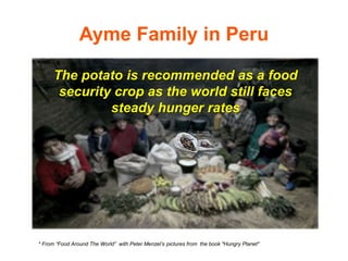 Ayme Family in Peru 
The potato is recommended as a food 
security crop as the world still faces 
steady hunger rates 
* From “Food Around The World” with Peter Menzel’s pictures from the book "Hungry Planet" 
 