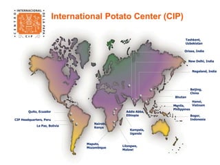 CIP Headquarters, Peru 
International Potato Center (CIP) 
Nairobi, 
Kenya 
Orissa, India 
Bhutan 
Addis Abba, 
Ethiopia 
Kampala, 
Uganda 
Quito, Ecuador 
New Delhi, India 
Manila, 
Philippines 
Nagaland, India 
Beijing, 
China 
Hanoi, 
Vietnam 
Bogor, 
Indonesia 
Lilongwe, 
Malawi 
Maputo, 
Mozambique 
La Paz, Bolivia 
Tashkent, 
Uzbekistan 
 