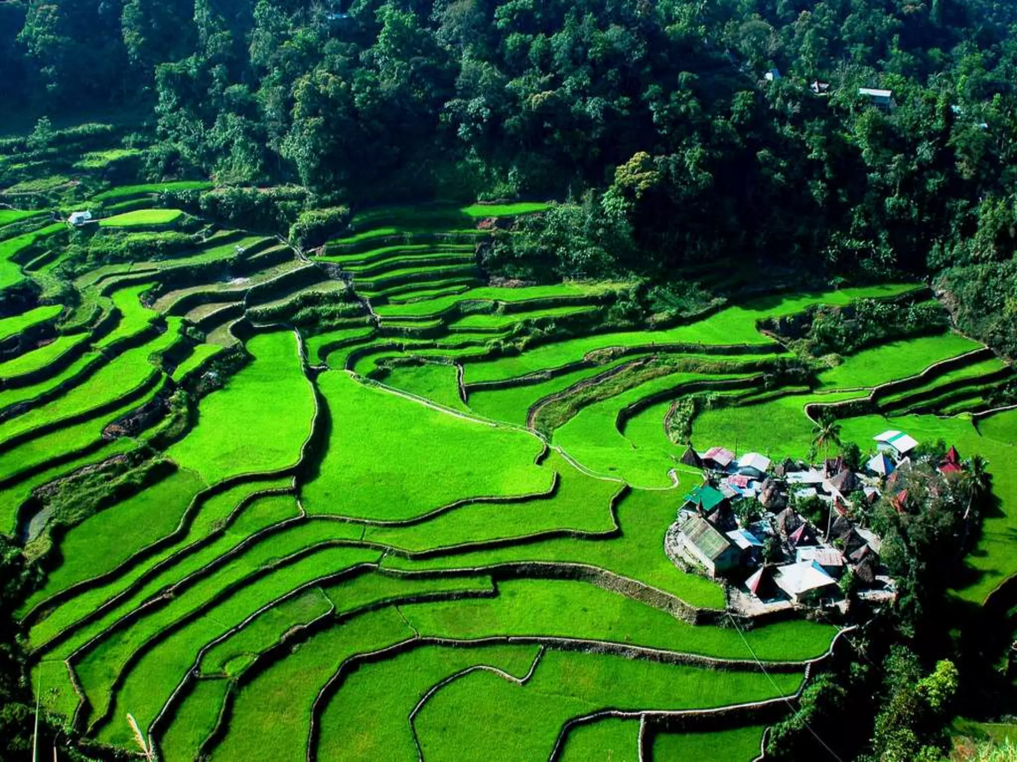 Collaboration in libraries