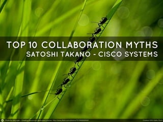 Collaboration Myths Top 10
