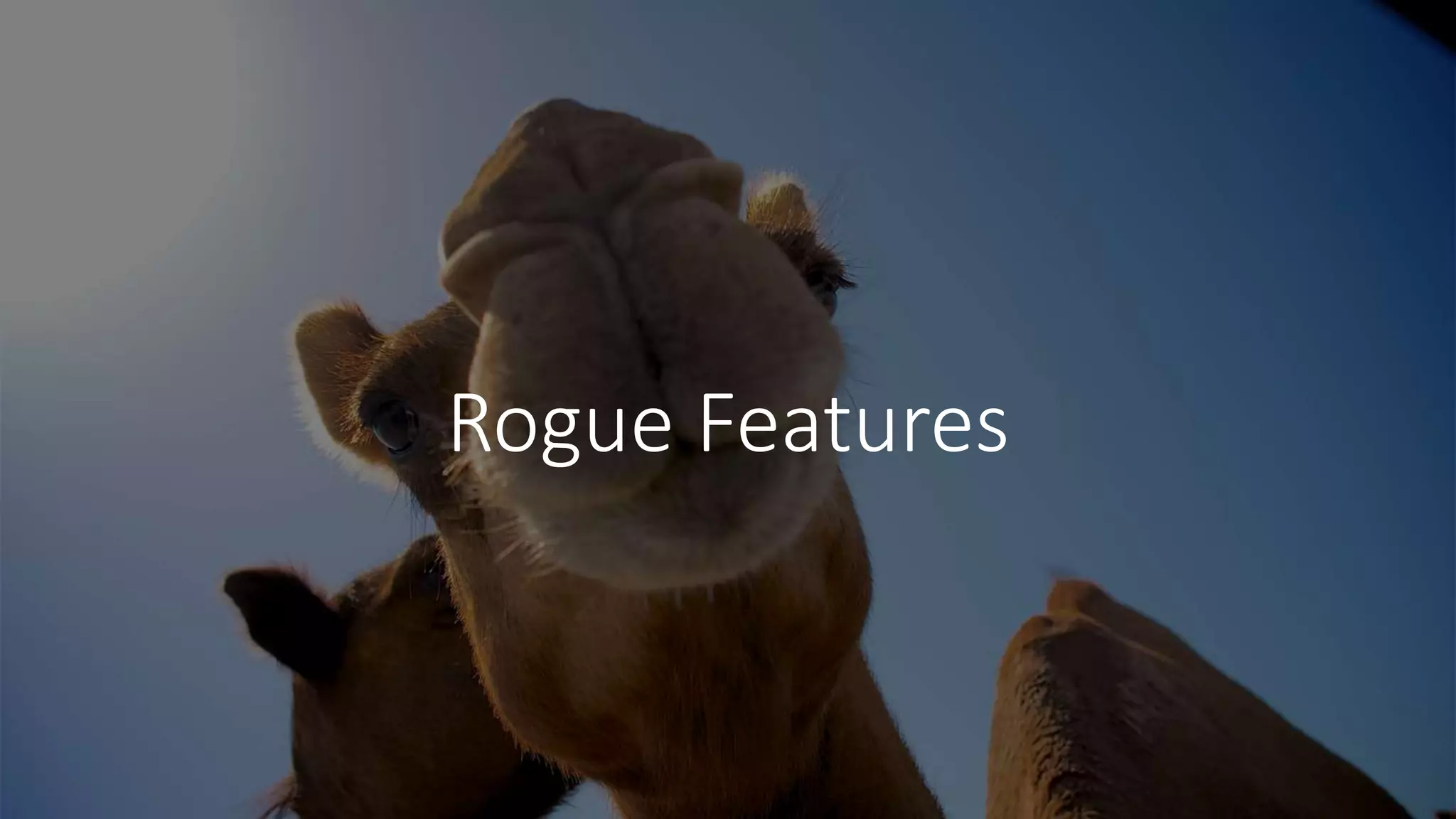 Rogue Features
 