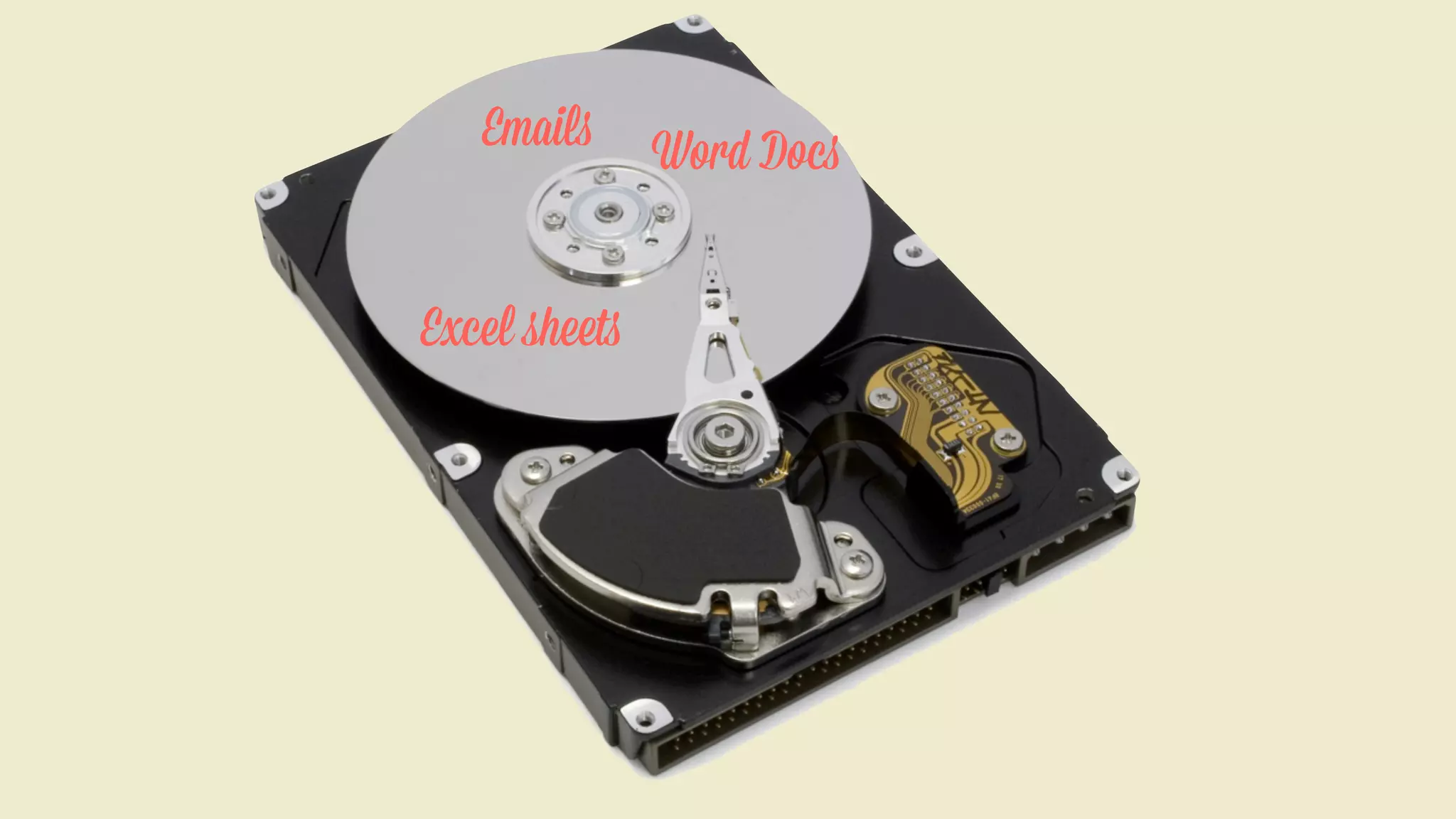 Emails

Excel sheets

Word Docs

 