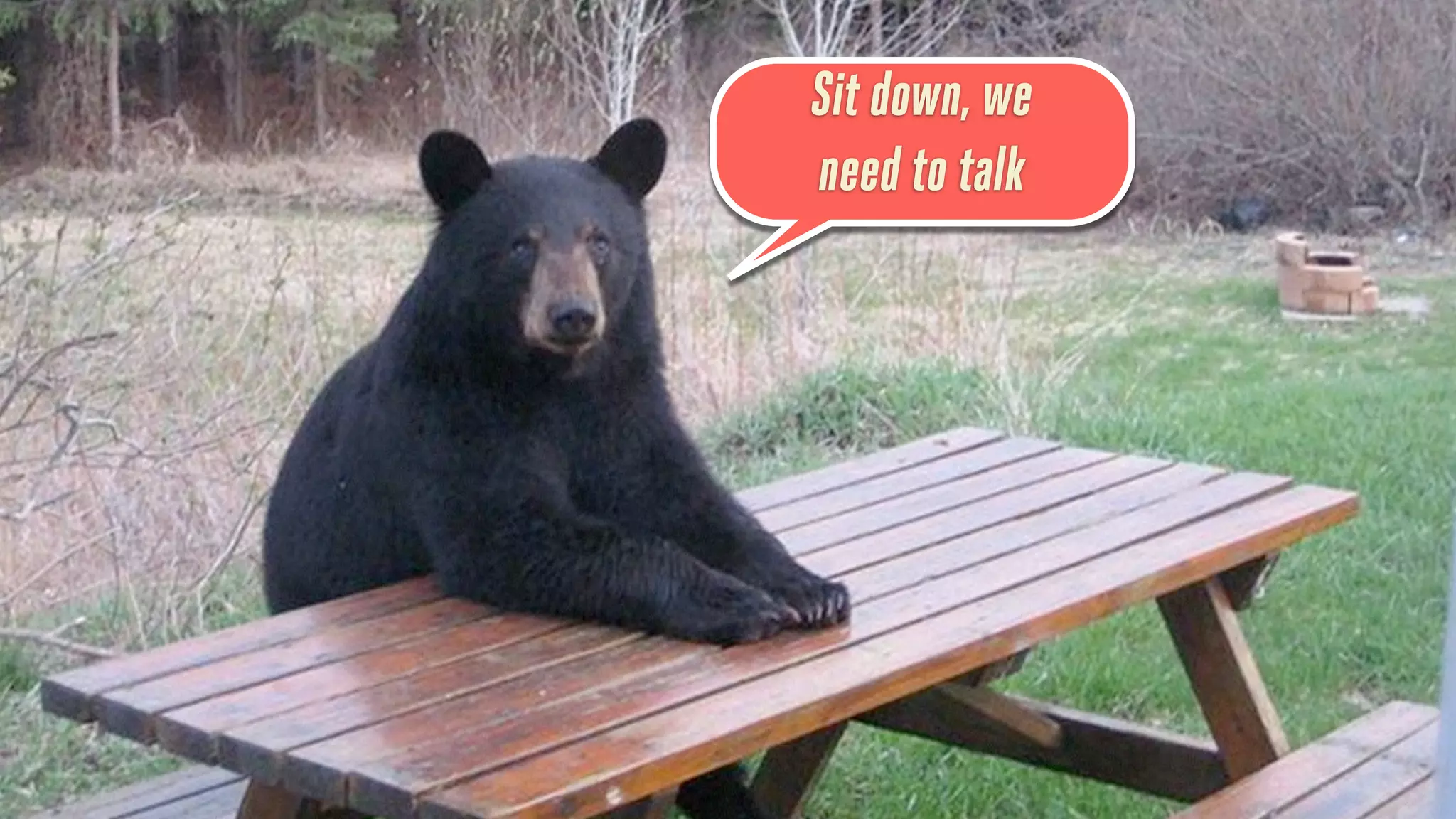 Sit down, we
need to talk

 