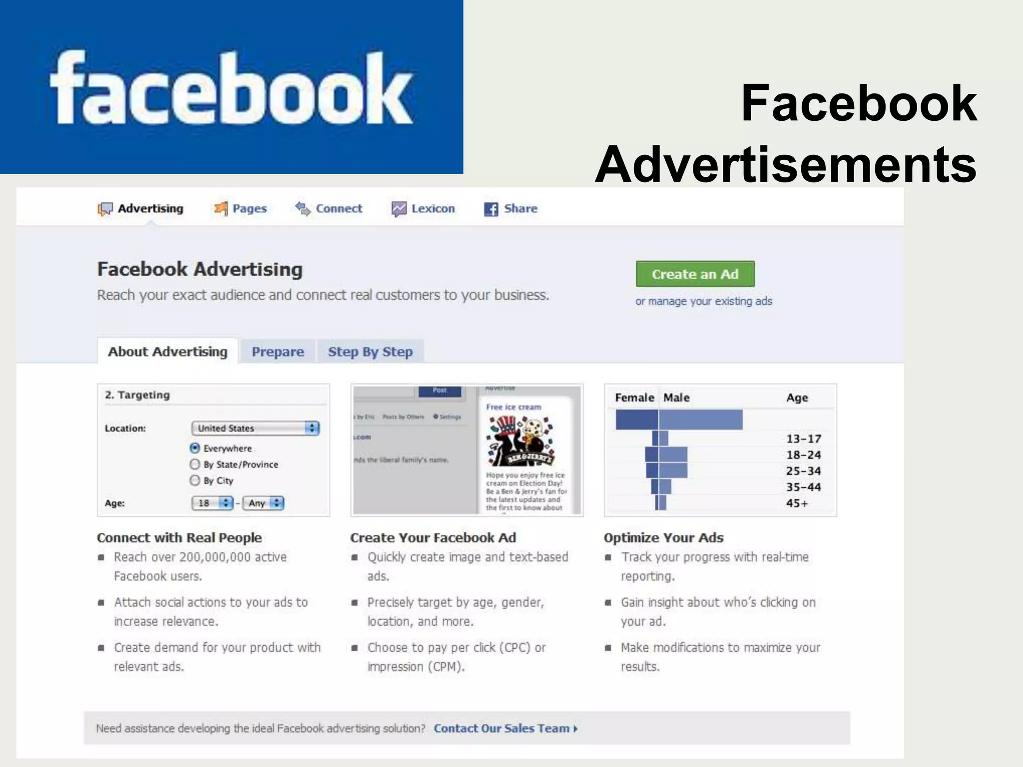 FacebookAdvertisements