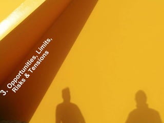 3.  Opportunities, Limits,  Risks & Tensions 