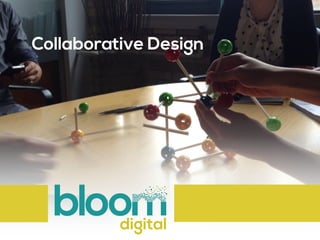 Collaborative Design 
 