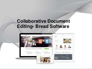 1
Collaborative Document
Editing- Bread Software
 