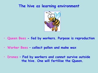 The hive as learning environment
• Queen Bees - fed by workers. Purpose is reproduction
• Worker Bees – collect pollen and make wax
• Drones – Fed by workers and cannot survive outside
the hive. One will fertilise the Queen.
 