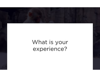 What is your 
experience? 
 
