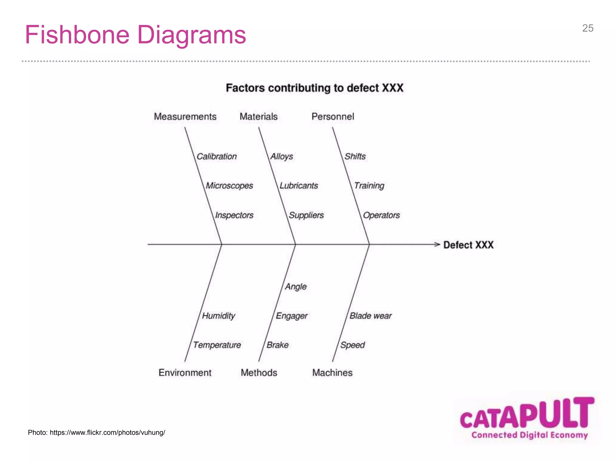 Fishbone Diagrams 25 
Photo: https://www.flickr.com/photos/vuhung/ 
 