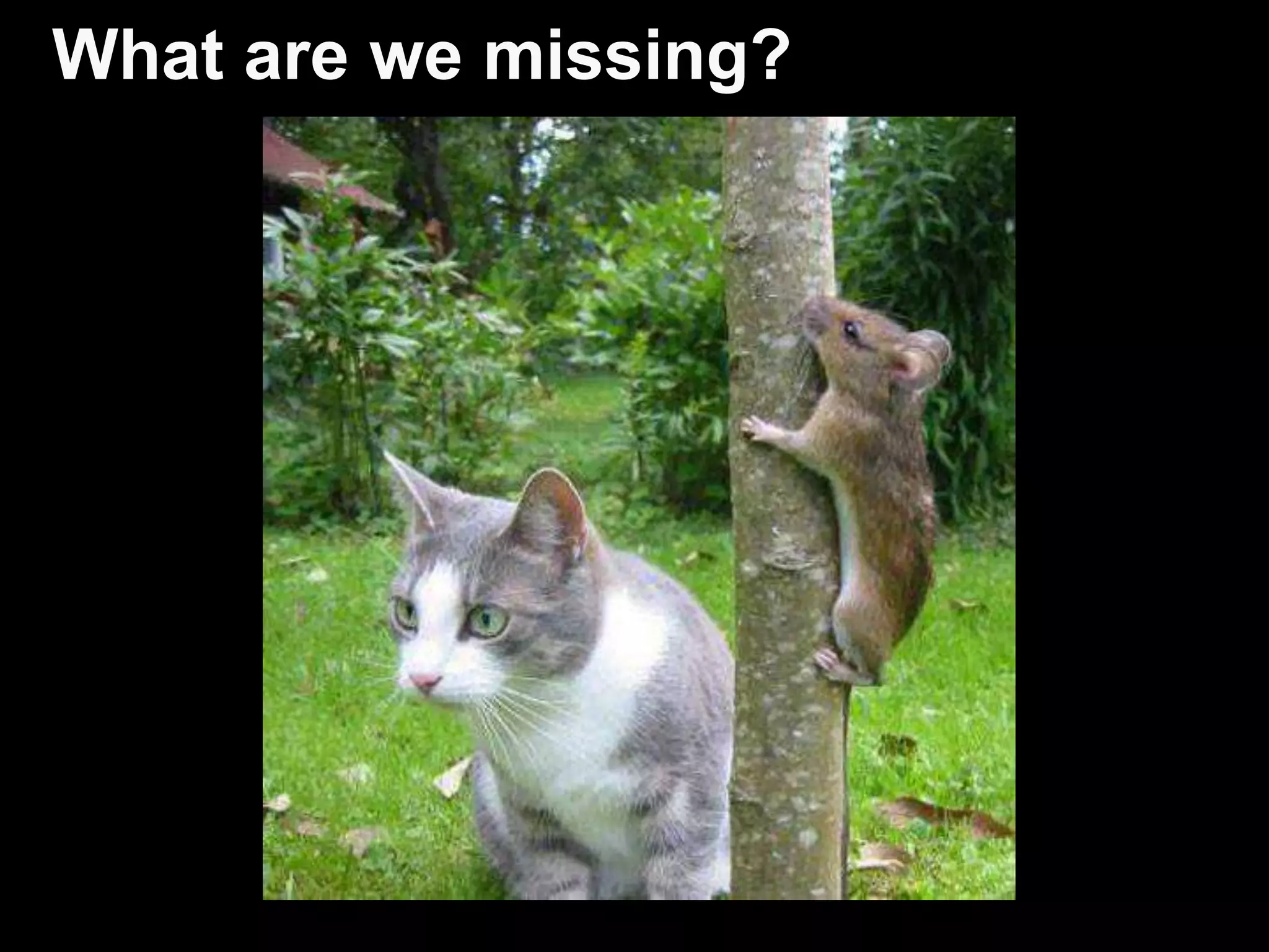 Automated Regression Tests