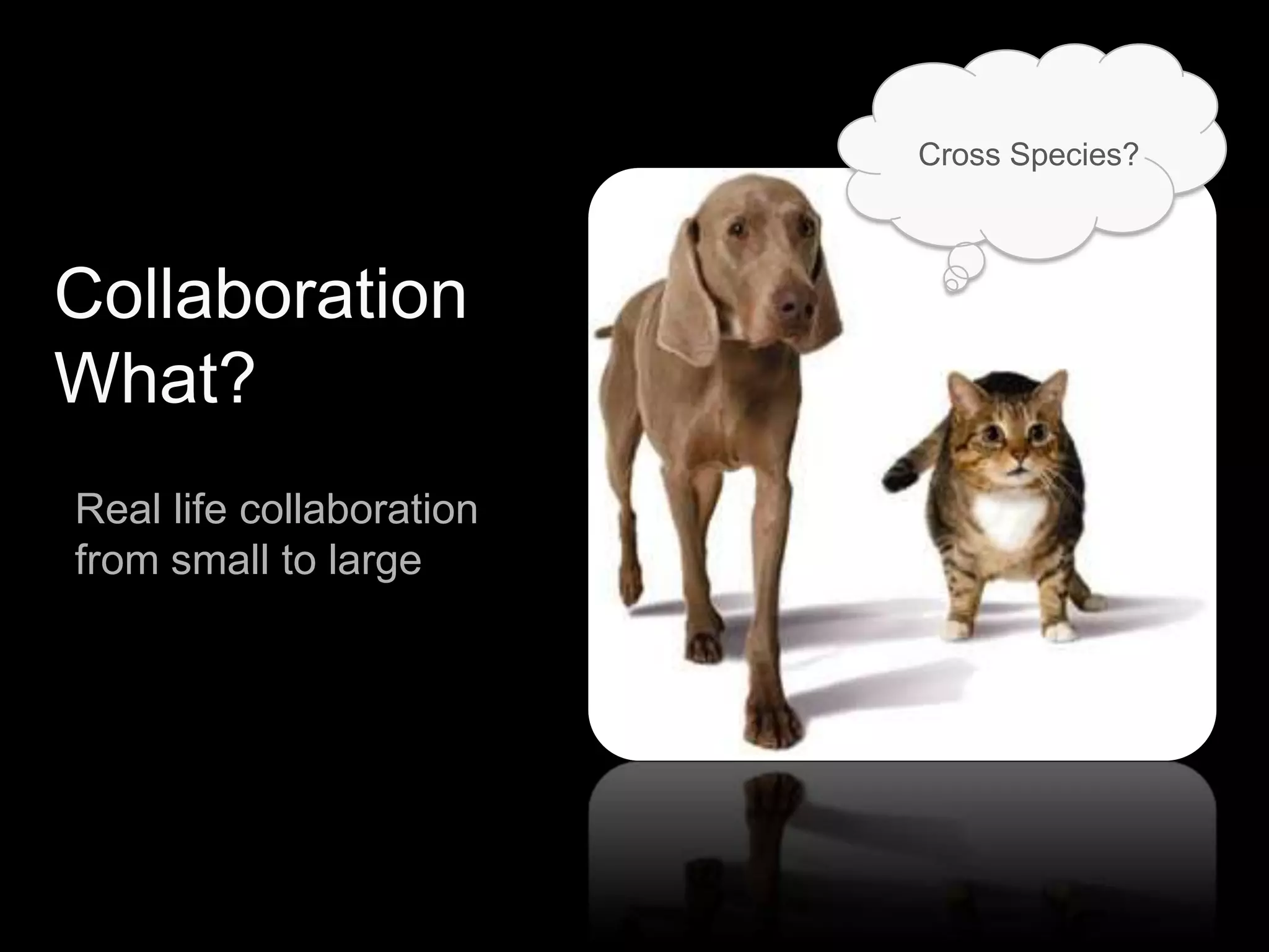 Performance Benchmarks