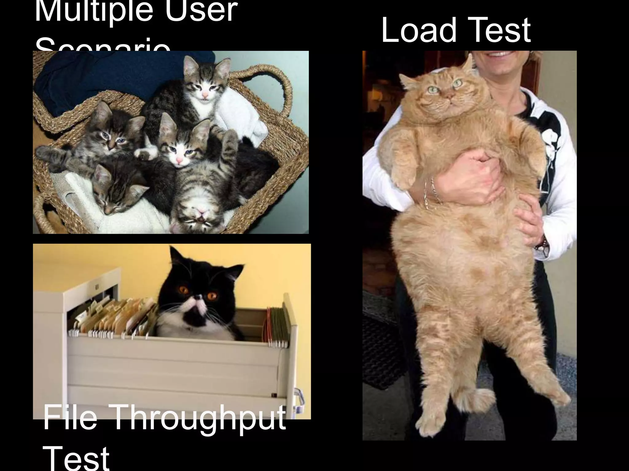 Preview Customers (renamed Beta programs)Got green bar! Cheezburgernaw!