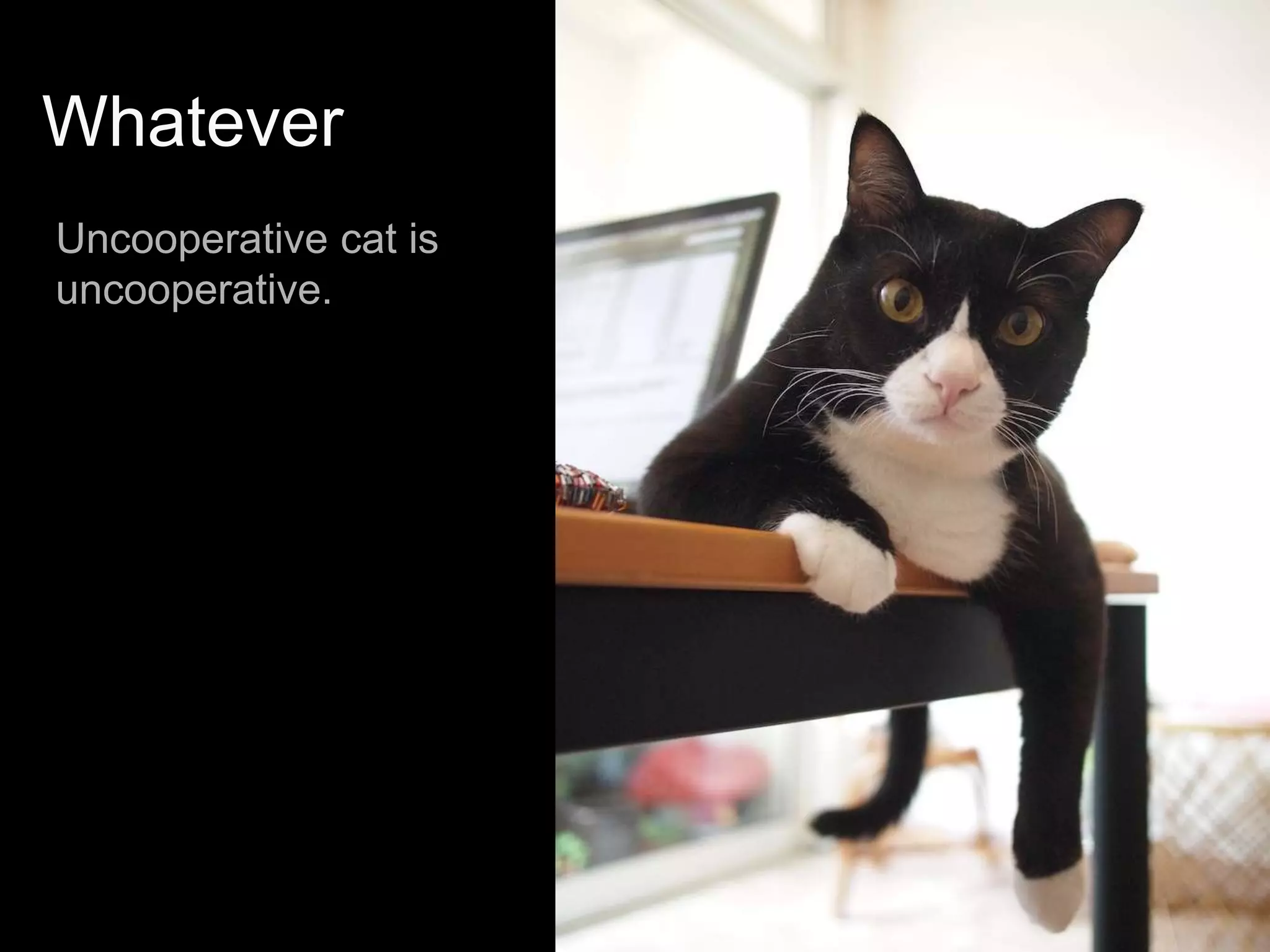 Current Testing Frequently PerformedUnit testing (sometimes TDD and/or ATDD)