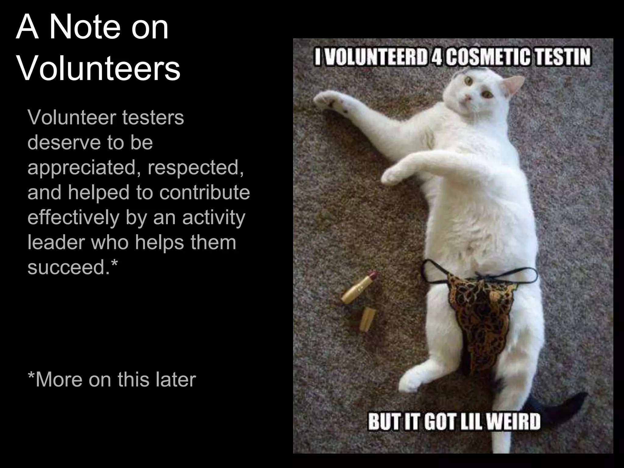 Reviews and inspections