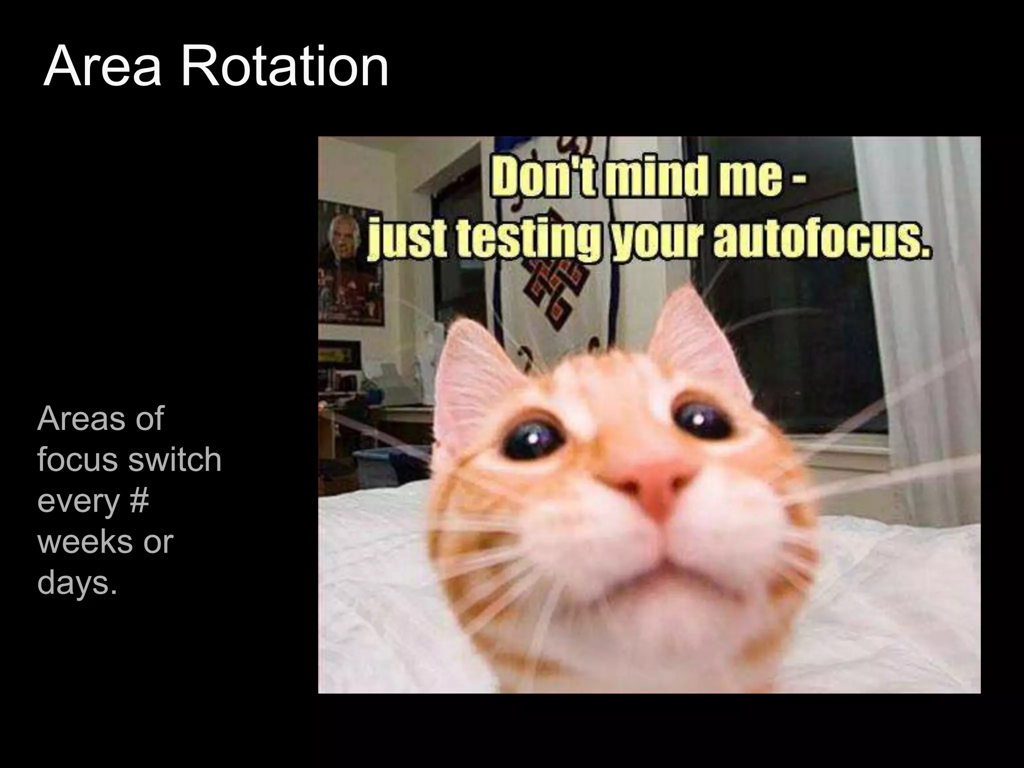 Functional Automated Tests