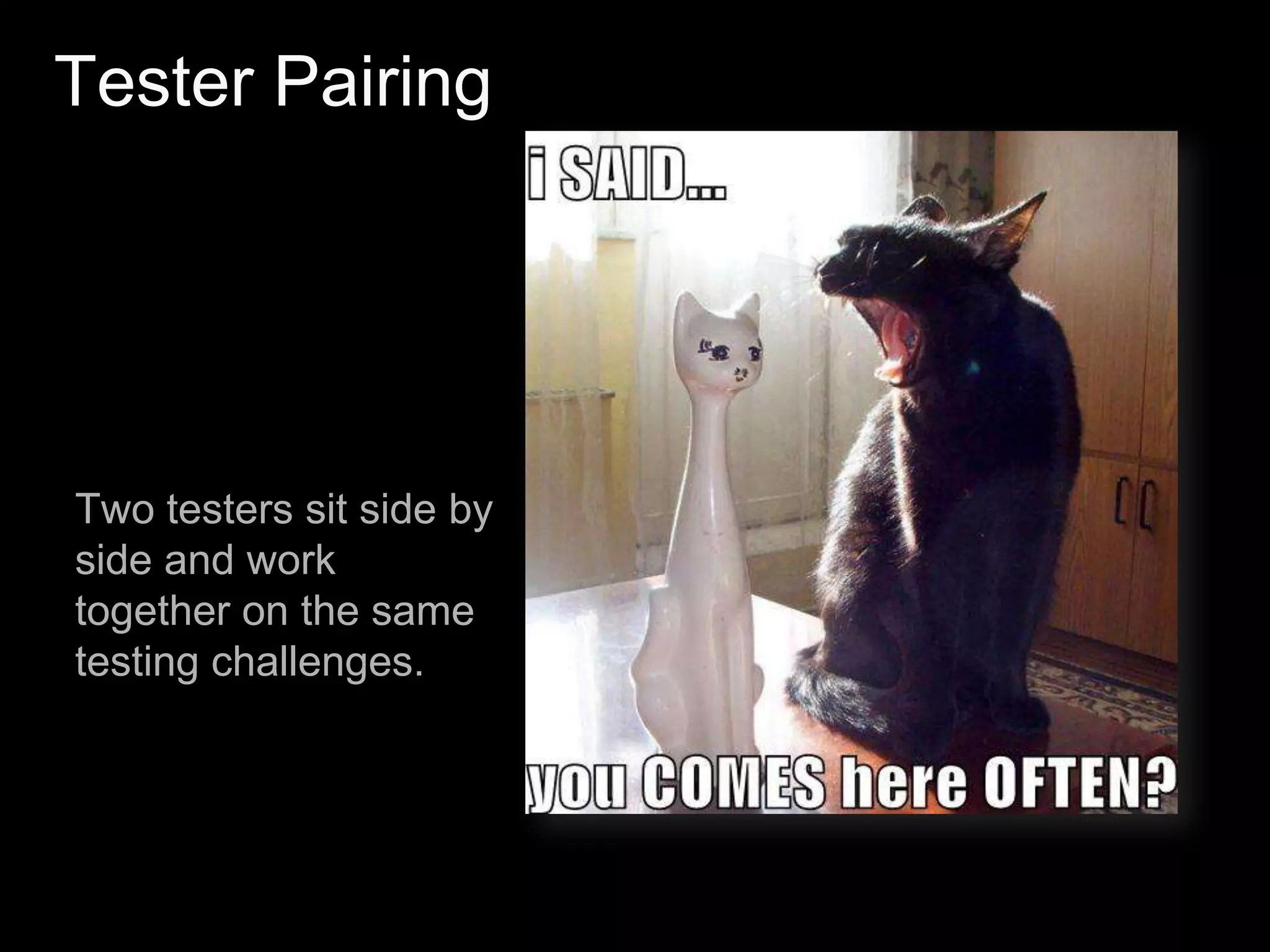 Automated Regression Tests