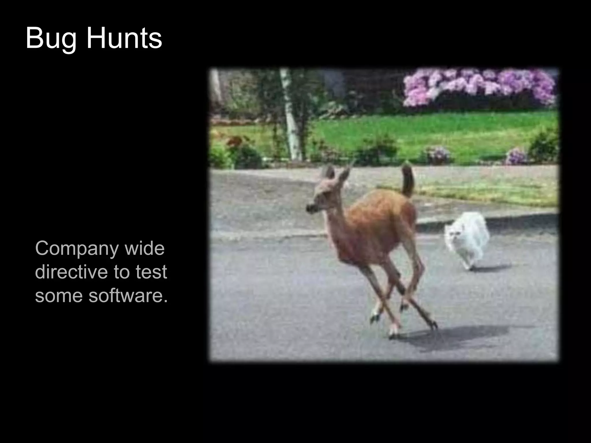 Internationalization/Globalization Tests