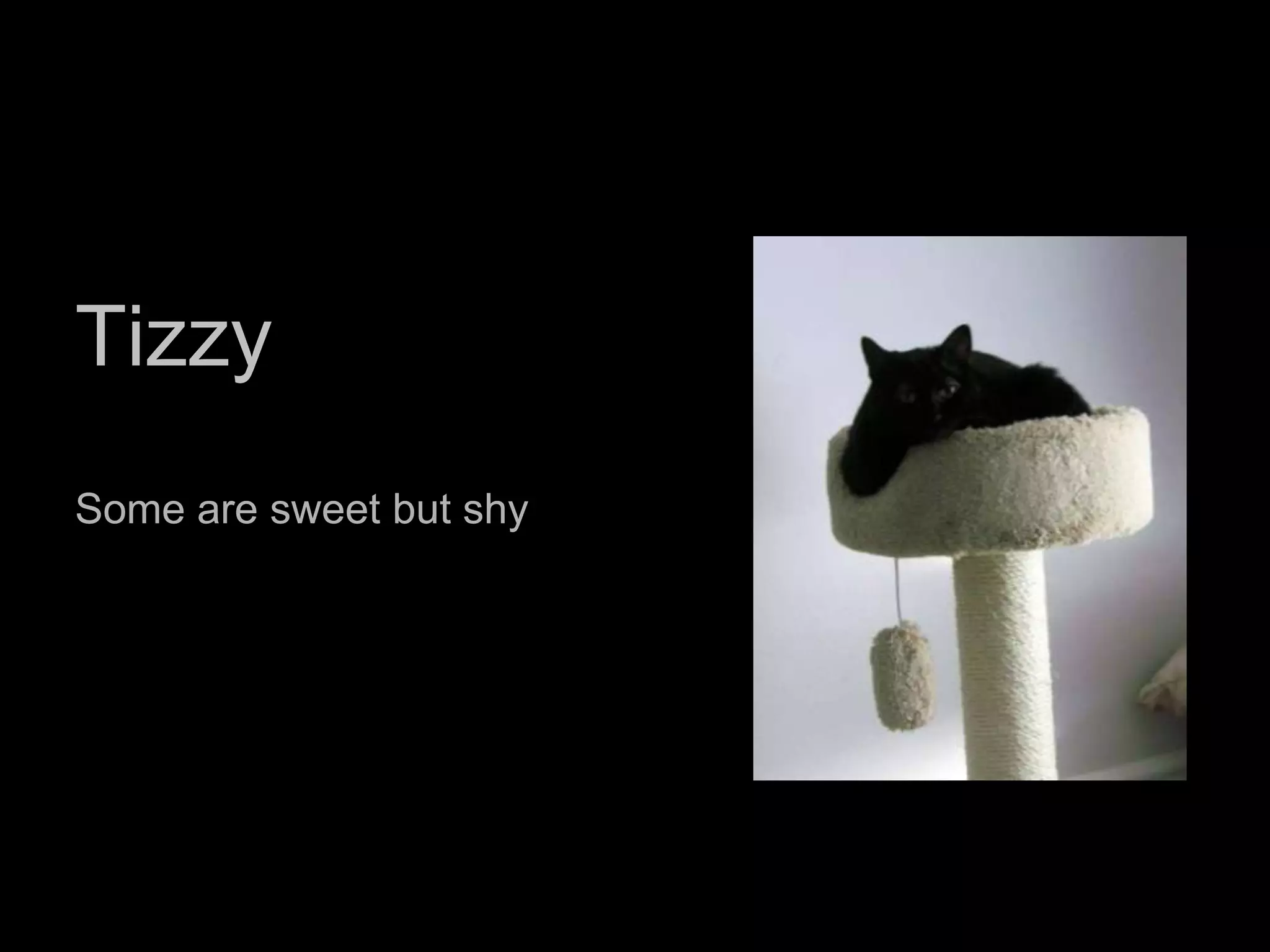 Promote ProjectsUseful, Hilarious, MemorableFun is still legal! Act now!