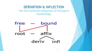 DERIVATION & INFLECTION
Are two funtional categories of change in
morphology.

 