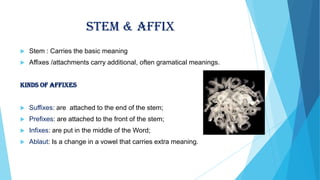 Stem & Affix


Stem : Carries the basic meaning



Affixes /attachments carry additional, often gramatical meanings.

KINDS OF AFFIXES


Suffixes: are attached to the end of the stem;



Prefixes: are attached to the front of the stem;



Infixes: are put in the middle of the Word;



Ablaut: Is a change in a vowel that carries extra meaning.

 