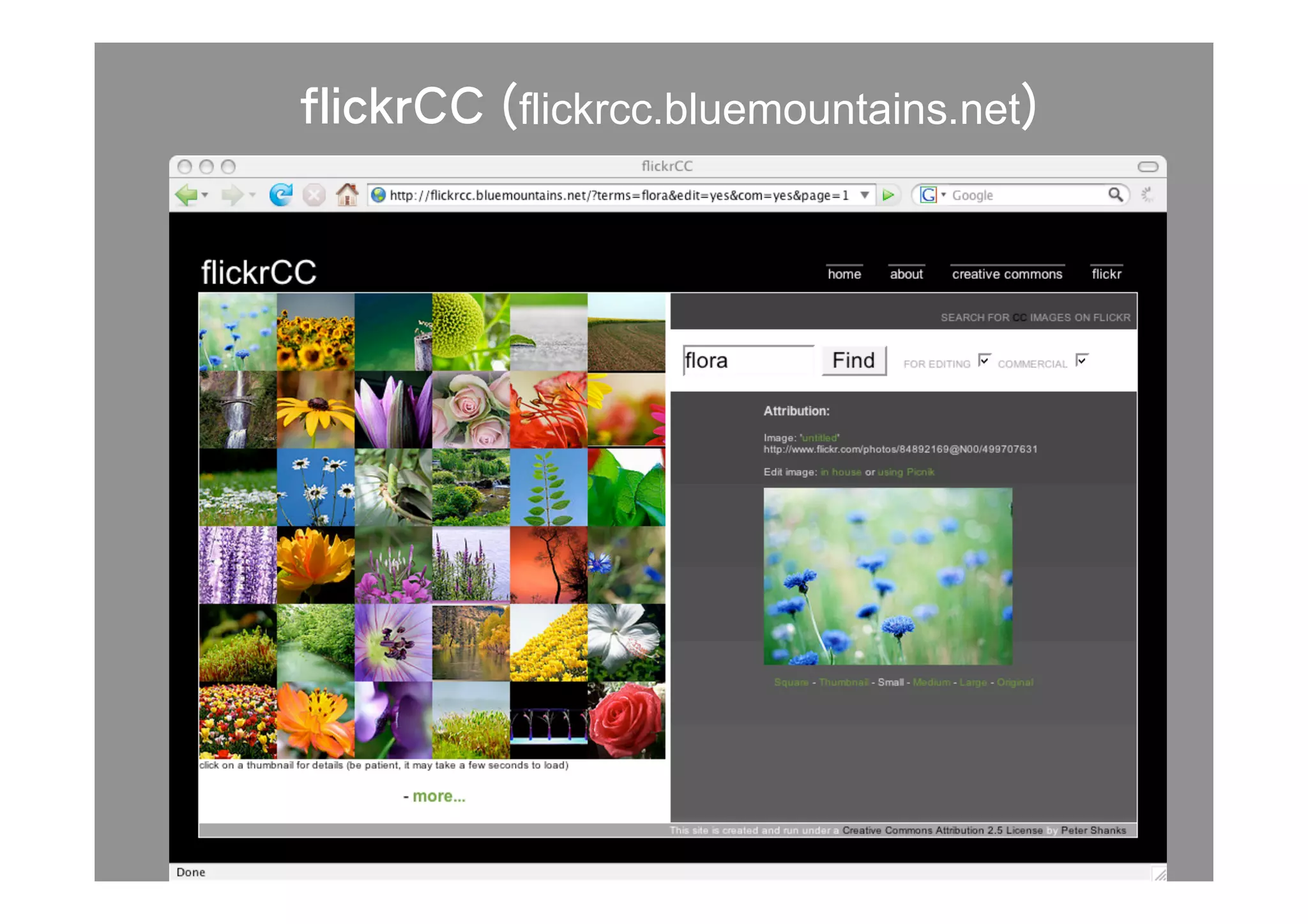 flickrcc.bluemountains.net
 