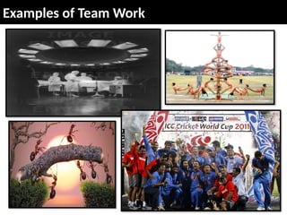 Examples of Team Work
 