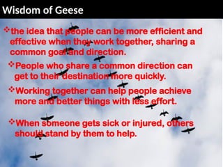 Wisdom of Geese
the idea that people can be more efficient and
effective when they work together, sharing a
common goal and direction.
People who share a common direction can
get to their destination more quickly.
Working together can help people achieve
more and better things with less effort.
When someone gets sick or injured, others
should stand by them to help.
 