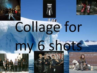 Collage for
my 6 shots
 