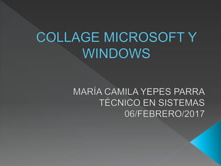 Collage Microsoft y Windows.