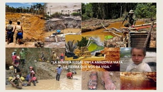 Impacto de la Minería Ilegal en la Biodiversidad y Calidad del Agua en ...