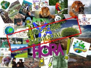 Collage educación ambiental