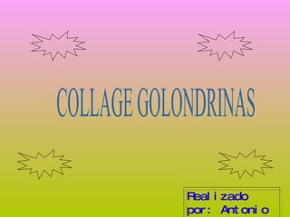 COLLAGE GOLONDRINAS Realizado por: Antonio 