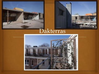 Dakterras
 
