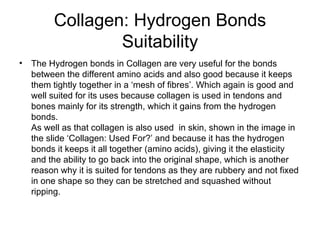 Collagen: Hydrogen Bonds Suitability The Hydrogen bonds in Collagen are very useful for the bonds between the different amino acids and also good because it keeps them tightly together in a ‘mesh of fibres’. Which again is good and well suited for its uses because collagen is used in tendons and bones mainly for its strength, which it gains from the hydrogen bonds. As well as that collagen is also used  in skin, shown in the image in the slide ‘Collagen: Used For?’ and because it has the hydrogen bonds it keeps it all together (amino acids), giving it the elasticity and the ability to go back into the original shape, which is another reason why it is suited for tendons as they are rubbery and not fixed in one shape so they can be stretched and squashed without ripping. 
