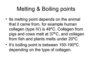 Melting & Boiling points Its melting point depends on the animal that it came from, for example human collagen (type IV) is 48 ° C. Collagen from pigs and cows melt at 37 ° C, and collagen from fish and plants melts under 20 ° C It’s boiling point is between 150-190 ° C depending on the type of collagen. 