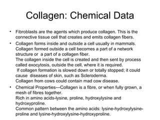 Collagen: Chemical Data Fibroblasts are the agents which produce collagen. This is the connective tissue cell that creates and emits collagen fibers. Collagen forms inside and outside a cell usually in mammals. Collagen formed outside a cell becomes a part of a network structure or  a part of a collagen fiber.  The collagen inside the cell is created and then sent by process called exocytosis, outside the cell, where it is required.  If collagen formation is slowed down or totally stopped; it could cause  diseases of skin, such as Scleroderma. Collagen from cows could contain mad cow disease. Chemical Properties---Collagen is a fibre, or when fully grown, a mesh of fibres together. Rich in amino acids-lysine, proline, hydroxylysine and hydroxyproline. Common pattern between the amino acids: lysine-hydroxylysine-proline and lysine-hydroxylysine-hydroxyproline. 