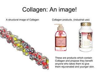 Collagen: An image! A structural image of Collagen Collagen products, (industrial use) These are products which contain Collagen and propose they benefit anyone who takes them to give them rejuvenated and younger skin.  
