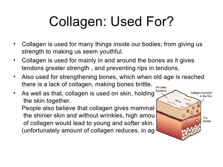 Collagen