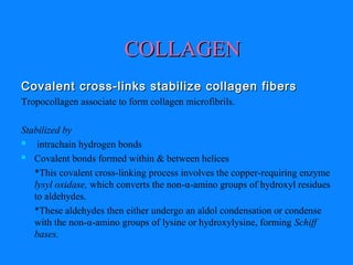 Covalent cross-links stabilize collagen fibersCovalent cross-links stabilize collagen fibers
Tropocollagen associate to form collagen microfibrils.
Stabilized by
 intrachain hydrogen bonds
 Covalent bonds formed within & between helices
*This covalent cross-linking process involves the copper-requiring enzyme
lysyl oxidase, which converts the non-α-amino groups of hydroxyl residues
to aldehydes.
*These aldehydes then either undergo an aldol condensation or condense
with the non-α-amino groups of lysine or hydroxylysine, forming Schiff
bases.
COLLAGENCOLLAGEN
 