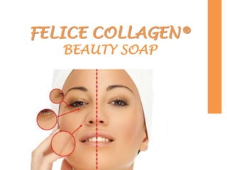 FELICE COLLAGEN®
   BEAUTY SOAP
 