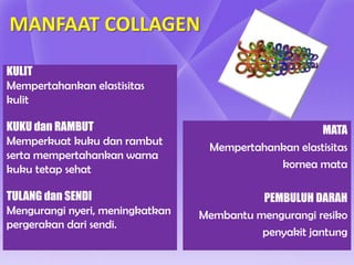 MANFAAT COLLAGEN

KULIT
Mempertahankan elastisitas
kulit

KUKU dan RAMBUT                                       MATA
Memperkuat kuku dan rambut
                                  Mempertahankan elastisitas
serta mempertahankan warna
kuku tetap sehat                             kornea mata

TULANG dan SENDI                           PEMBULUH DARAH
Mengurangi nyeri, meningkatkan   Membantu mengurangi resiko
pergerakan dari sendi.
                                           penyakit jantung
 