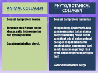 PHYTO/BOTANICAL
    ANIMAL COLLAGEN                      COLLAGEN
•   Berasal dari protein hewan.   •   Berasal dari protein tumbuhan

•   Tersusun atas 2 asam amino    •   Mengandung Hyalurronic Acid
    khusus yaitu hydroxyproline       yang merupakan bahan utama
    dan hydroxyleusine.               penyusun tulang rawan sendi
                                      yang tidak ada di dalam animal
•   Dapat menimbulkan alergi.         collagen (dapat membantu
                                      meningkatkan pergerakan dari
                                      sendi, dapat mengurangi rasa
                                      nyeri, dan memperkuat jaringan
                                      ikat)

                                  •   Tidak menimbulkan alergi.
 