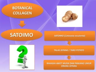 BOTANICAL
COLLAGEN




SATOIMO          SATOIMO (Colocasia esculenta)




                 TALAS JEPANG / TARO POTATO




            RAHASIA AWET MUDA DAN PANJANG UMUR
                       ORANG JEPANG
 