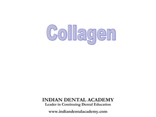 INDIAN DENTAL ACADEMY
Leader in Continuing Dental Education
  www.indiandentalacademy.com
 