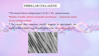 Parallel Ridge Fibrillar Pattern COLLAGEN.pptx Collagen – Definition, Structure, Types, Functions | PPTX
